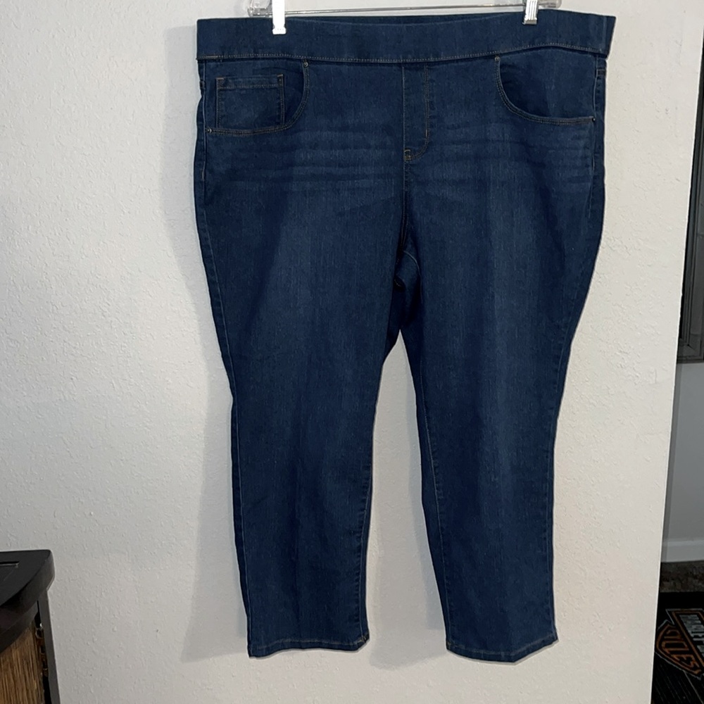 Terra & Sky jeans size 20W/22W